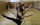 Ballettschule und Tanzschule Berlin Pankow